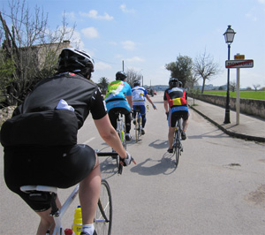 Mallorquinische Rotte